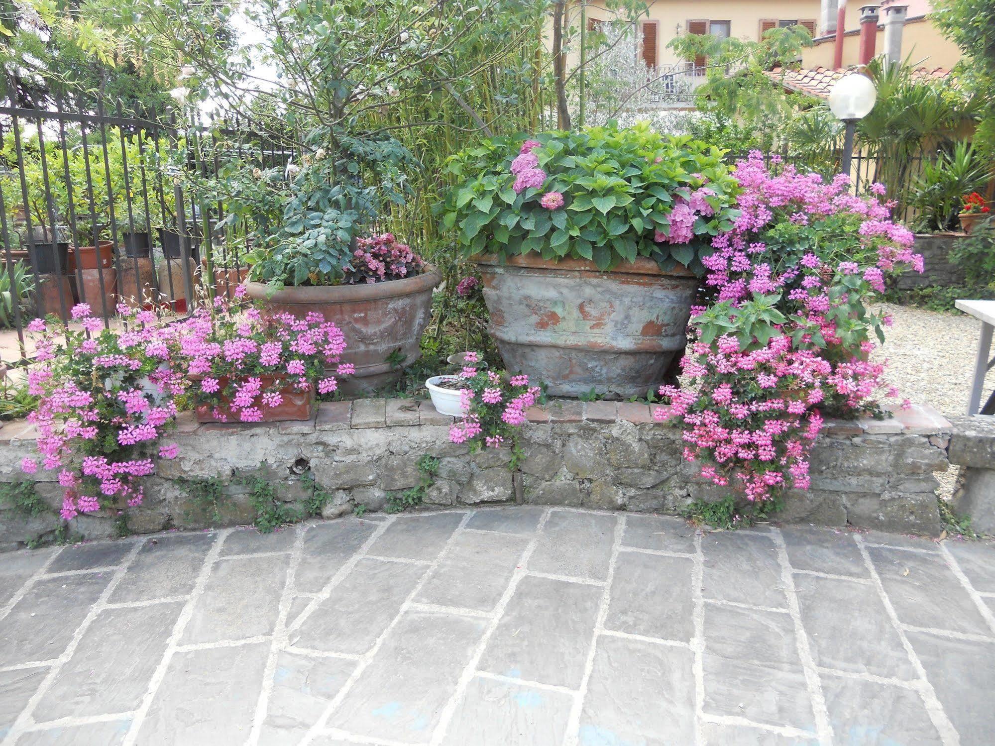 Agriturismo Le Macine Florens Exteriör bild
